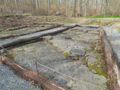 Freigelegte Gesteinsoberfläche im Wald mit Saurierspuren