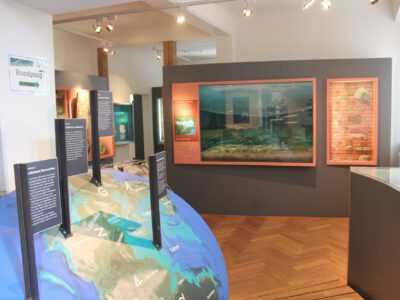 Blick in die Ausstellung mit Dioramen und Erklärtafeln