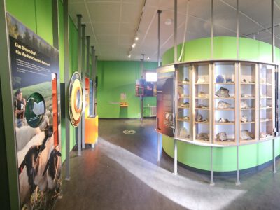 Blick in die Ausstellung mit Gesteinsproben.