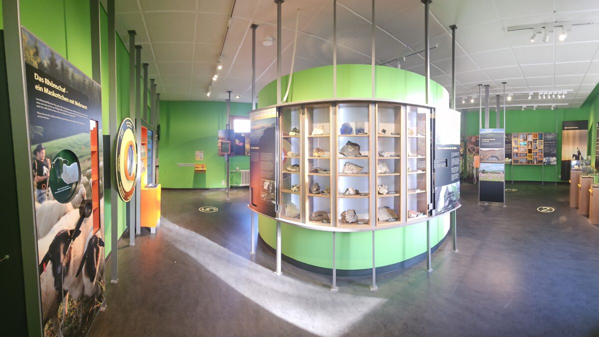 Blick in die Ausstellung mit Gesteinsproben.