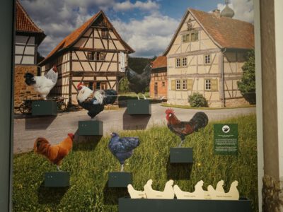 Darstellung von Hühnern vor Fachwerkhäusern