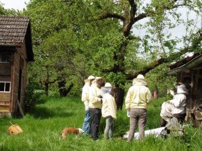 Imker mit Schutzausrüstung stehen auf einer Streuobstwiese
