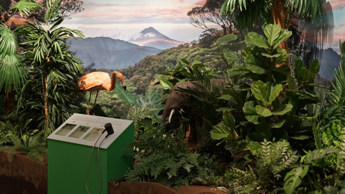 Hörstation mit Landschaftspanorama und Flamingo