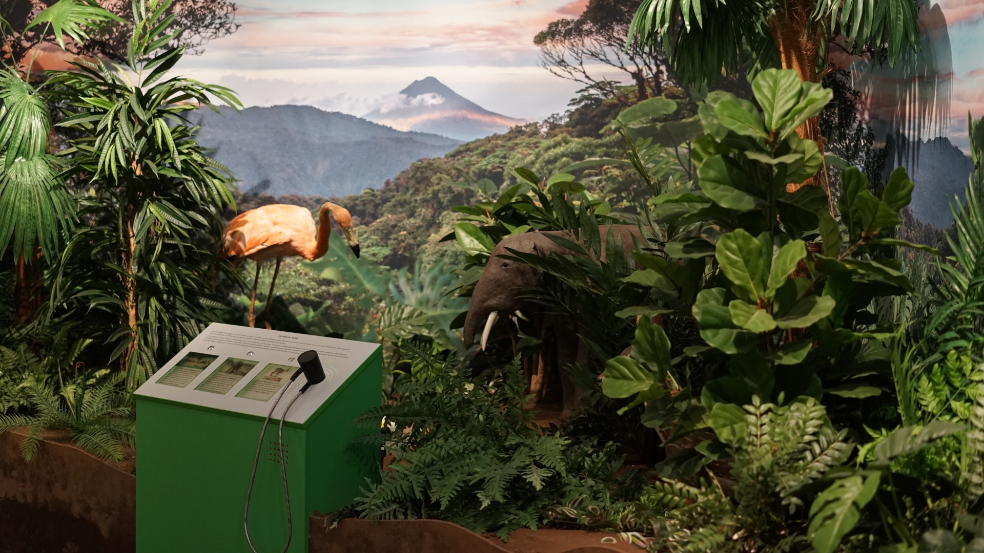 Hörstation mit Landschaftspanorama und Flamingo