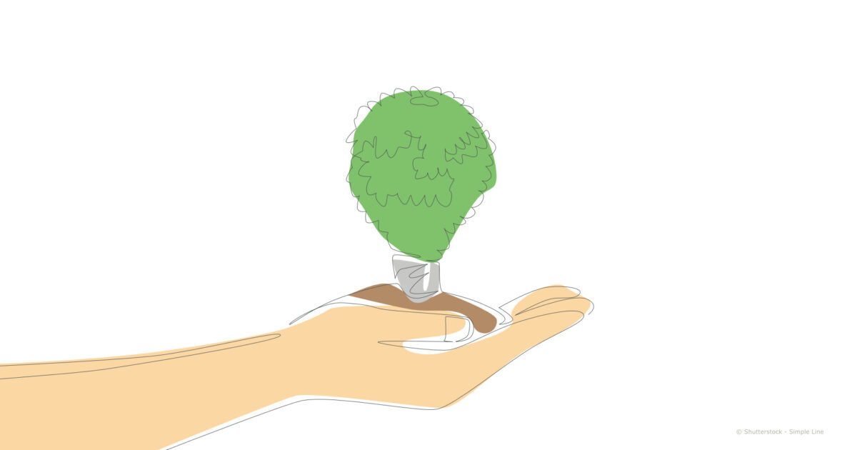 Hand hält grüne Glühbirne, die Assoziierungen an einen Baum weckt