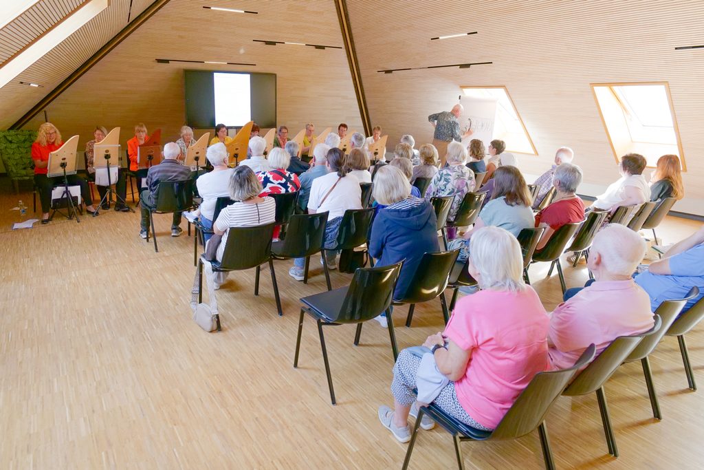 Personen musizieren auf Veeh-Harfen. Publikum sitzt auf Stühlen und hört zu.